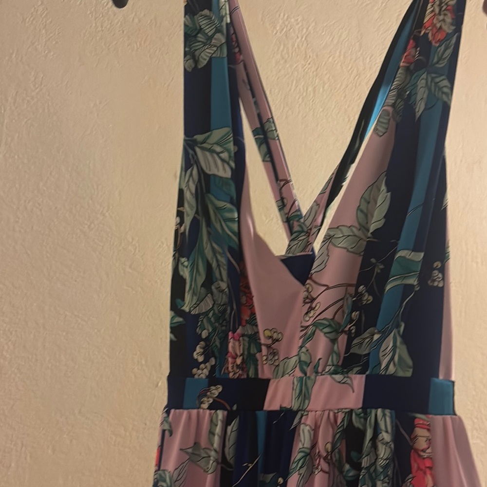 Express Floral Maxi Dress - Pink and Blue